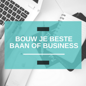 Vipdag HSP & WERK