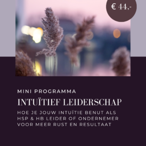 Intuïtief Leiderschap